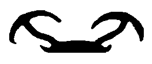 Window Channel – Pair Flocked Rubber Channel Kit
