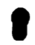Weatherstrip Spare Tire Cover Solid Rub – Sold by the Foot